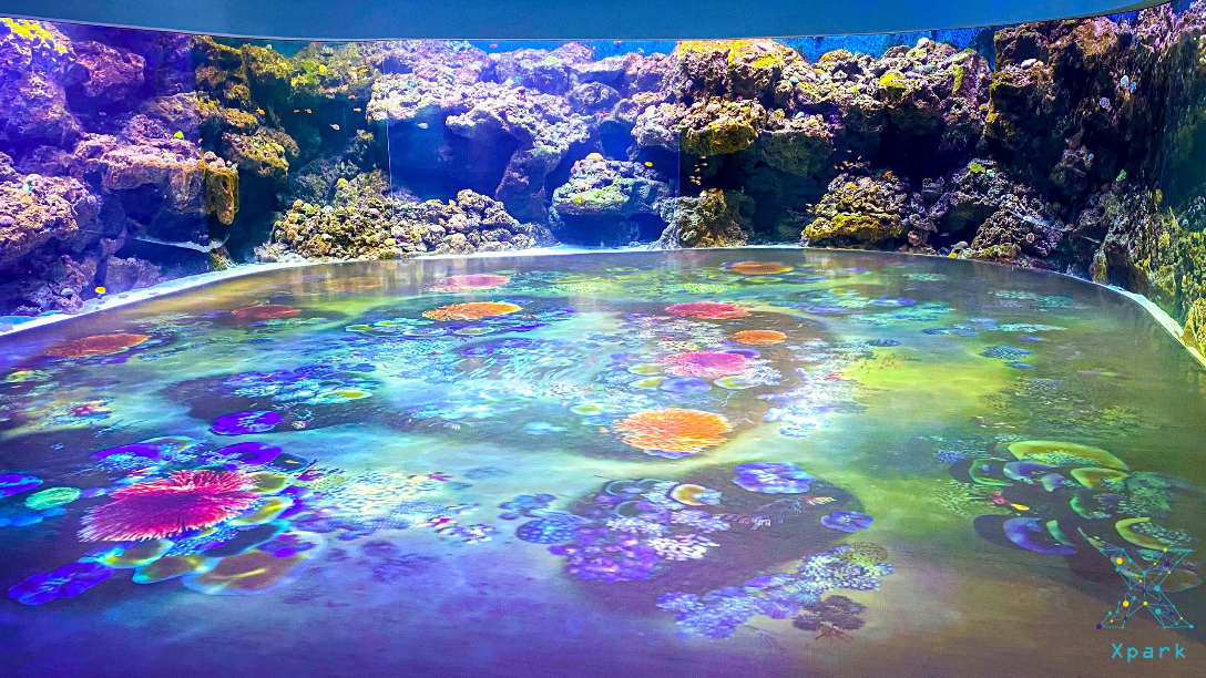 桃園Xpark水族館．台灣高鐵探索館1日輕鬆遊 cover photo